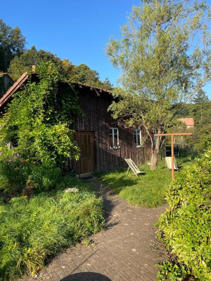 Mon Refuge En Vasgovie Apartment Meisenthal Exterior foto